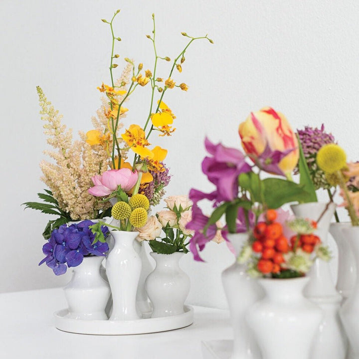 Budvase Collection - Merry PigletsAccent Decor