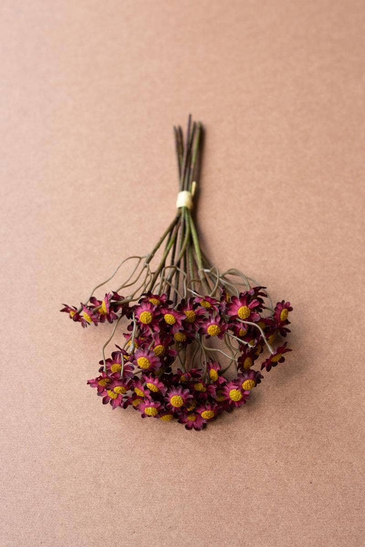 Burgandy Chamomile Bundle - Merry PigletsKalalou