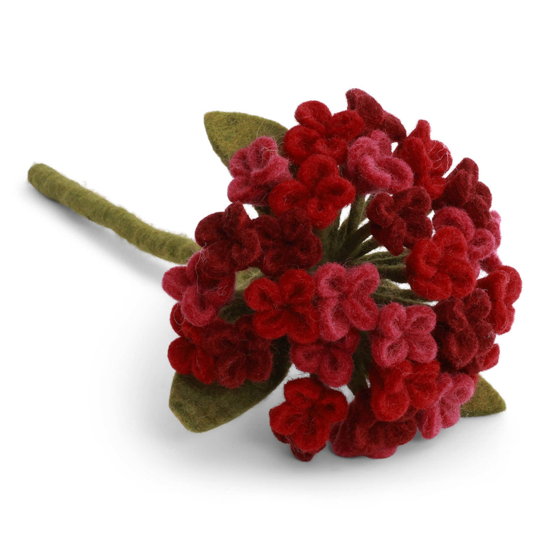 Long Stemmed Dark Red Wool Hydrangea