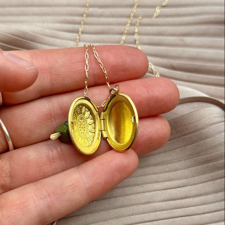 Capsule Locket Necklace - Merry PigletsFluff Hardware