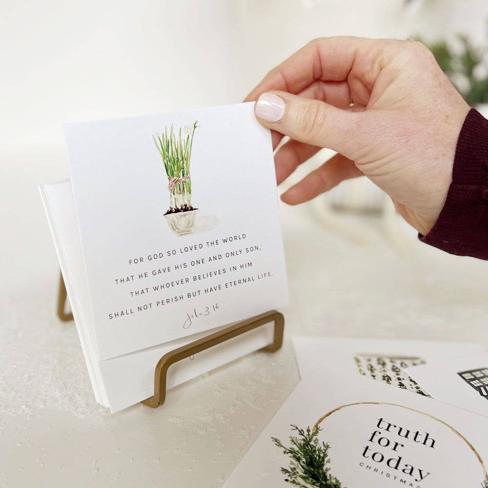 Christmas Truth for Today Cards - Merry Pigletsemily lex studio
