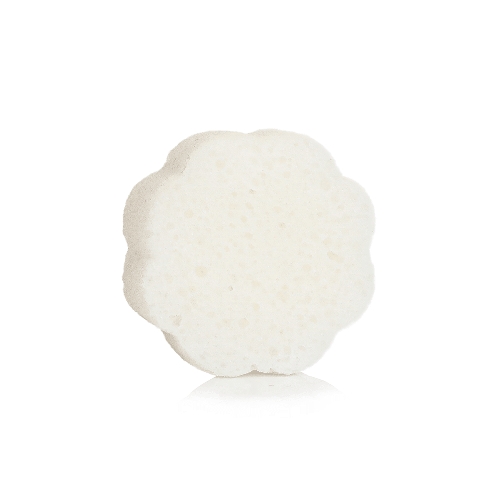 Coconut Verbena Daisy Spongette - Merry PigletsSpongellé