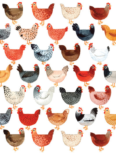 Chicken Notecards