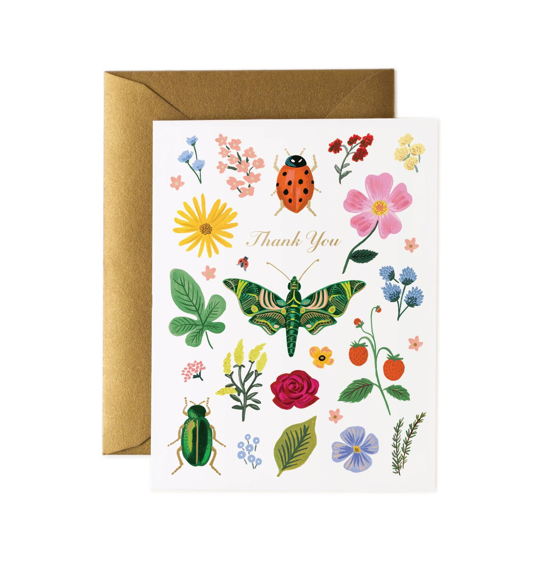 Curio Thank You Greeting Card - Merry PigletsRifle Paper Co.