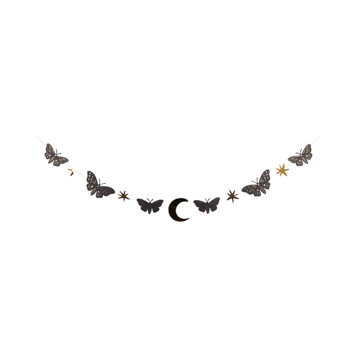 Moths & Stars Banner