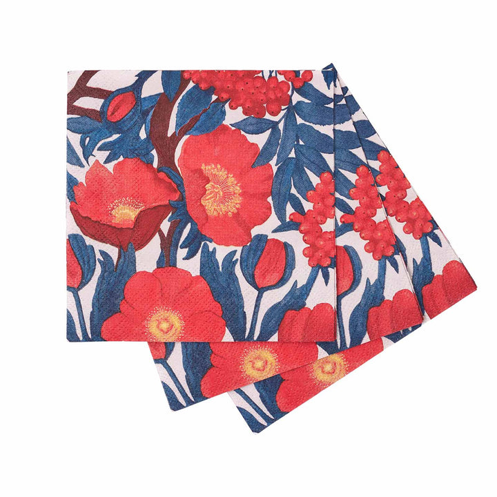 Icelandic Poppies Paper Napkins