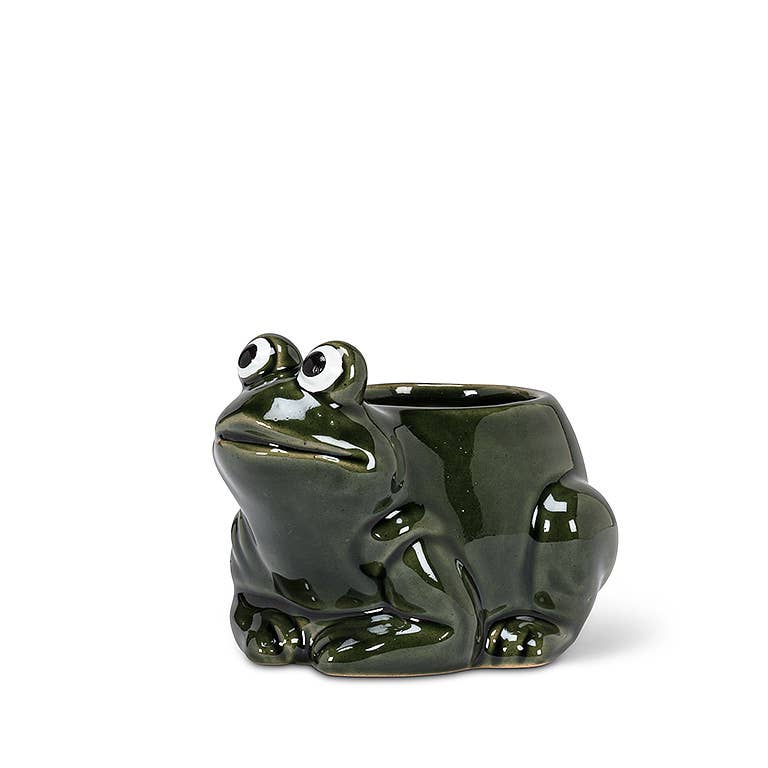 Frog Planter