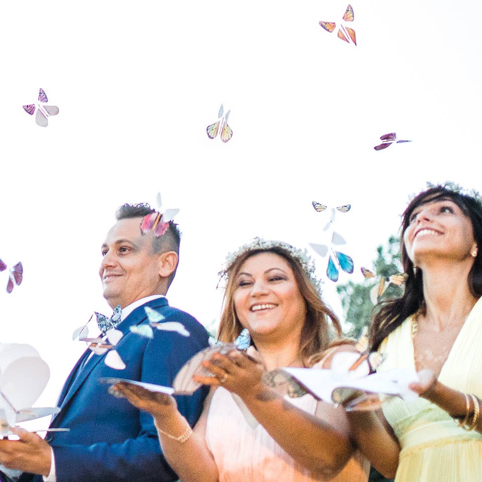 Flying Magic Butterfly - Merry PigletsTOPS Malibu
