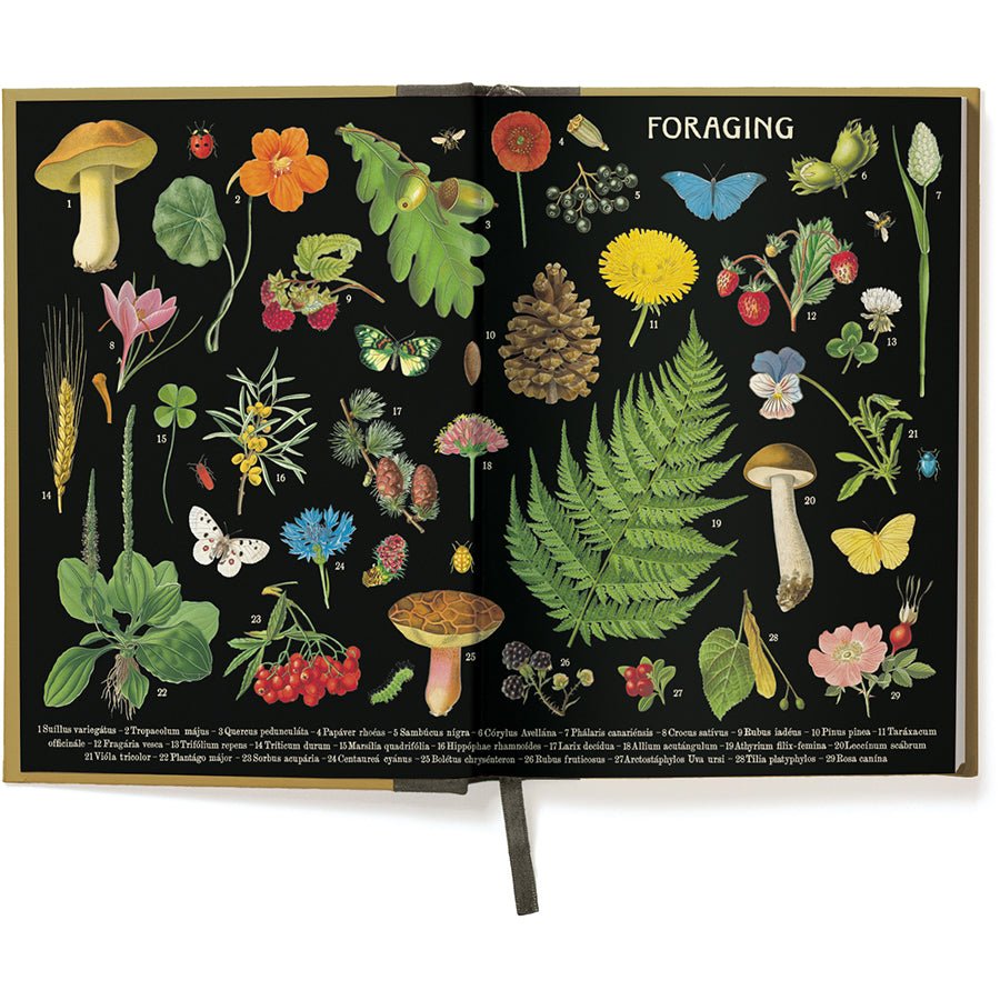 Foraging Window Journal - Merry PigletsRifle Paper Co.