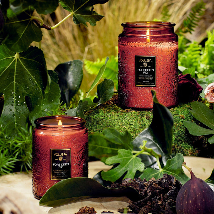 Forbidden Fig Large Jar Candle - Merry PigletsVoluspa