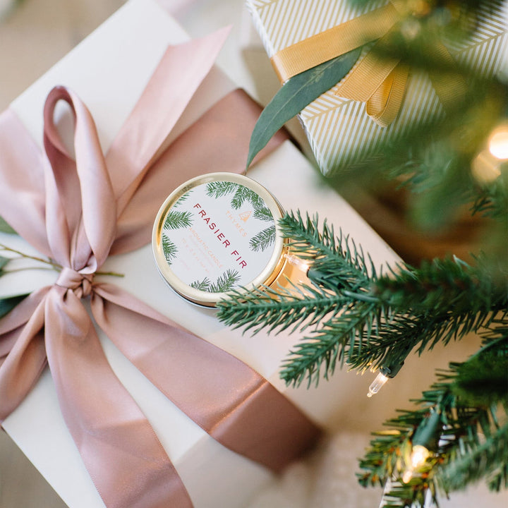 Frasier Fir Travel Tin Candle - Merry PigletsThymes