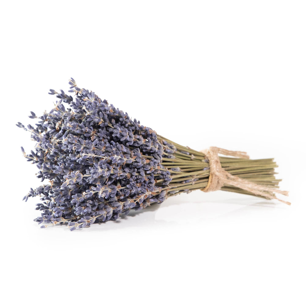 French Lavender Dried Mini Bundle - Merry PigletsAndaluca