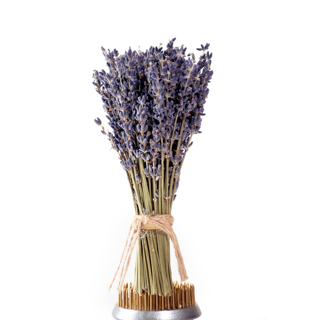 French Lavender Dried Mini Bundle - Merry PigletsAndaluca