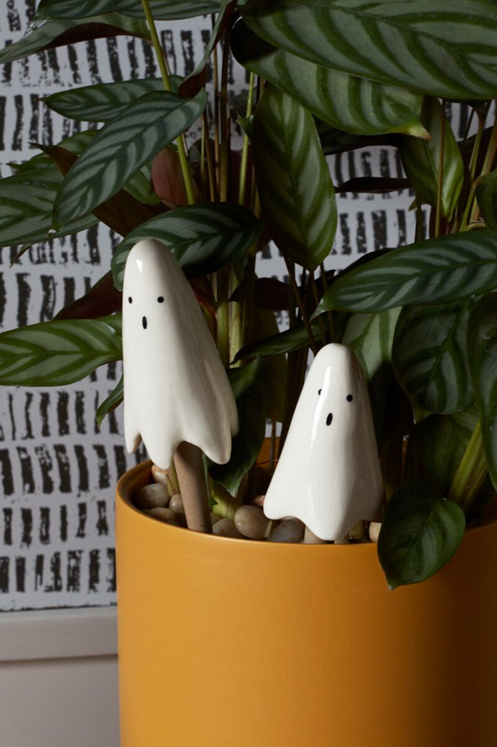 Ghost Plant Sticks Set - Merry Pigletsaccent decor