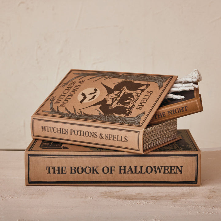 Halloween Themed Book Storage Boxes