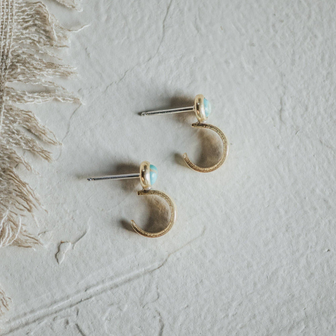 Hyalite Hoops - Merry PigletsCommonform