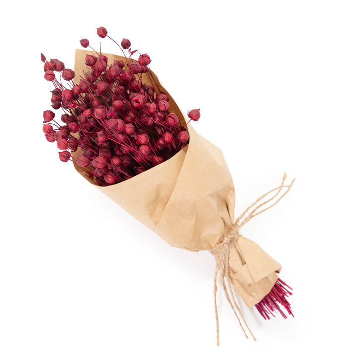 Merlot Flax Mini Dried Bundle - Merry PigletsAndaluca