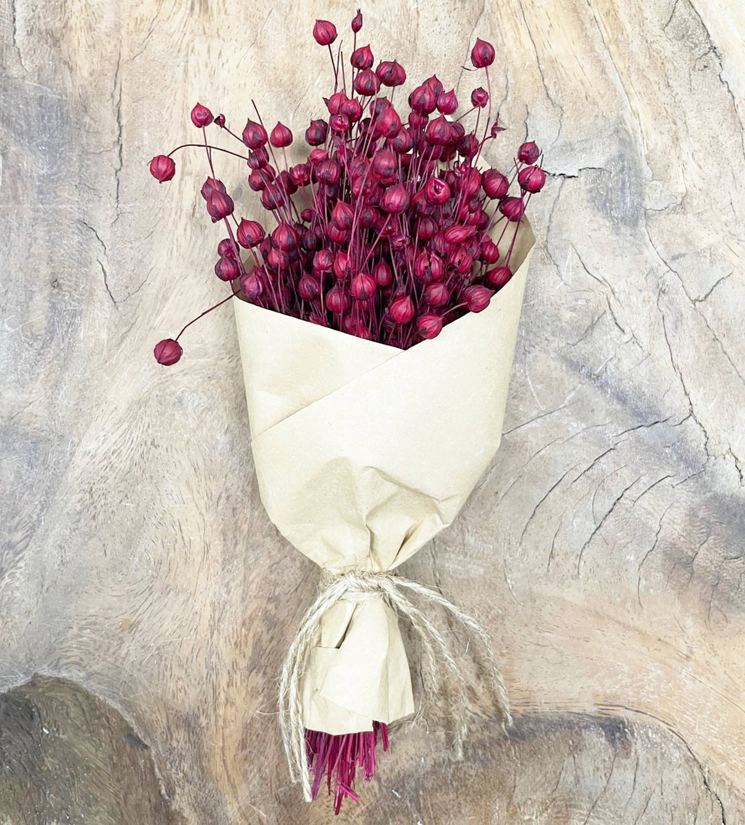 Merlot Flax Mini Dried Bundle - Merry PigletsAndaluca