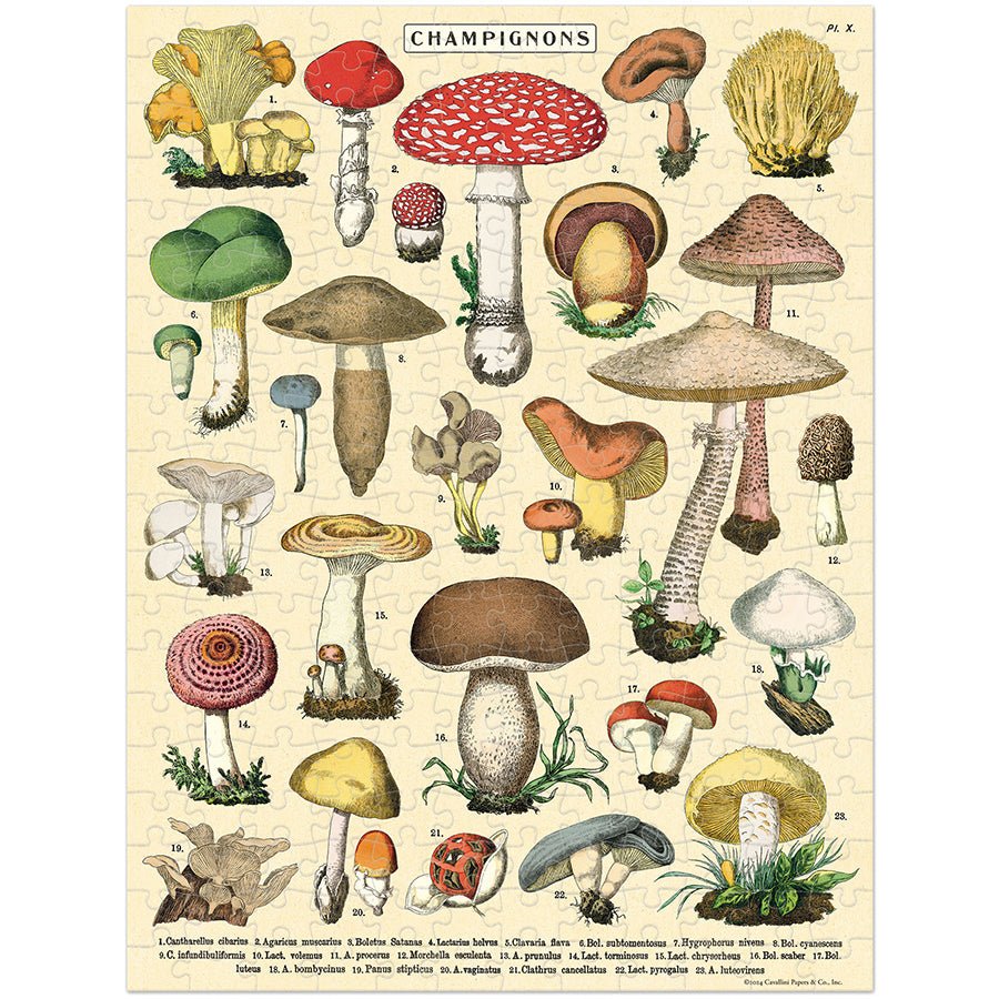 Mushrooms Mini Puzzle - Merry PigletsCavallini Papers & Co.