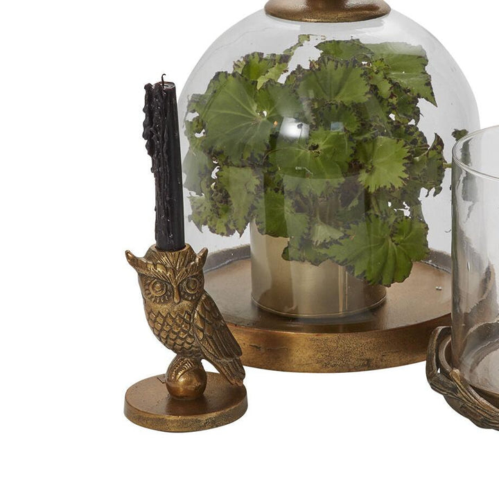 Owl Candle Holder - Merry PigletsAccent Decor