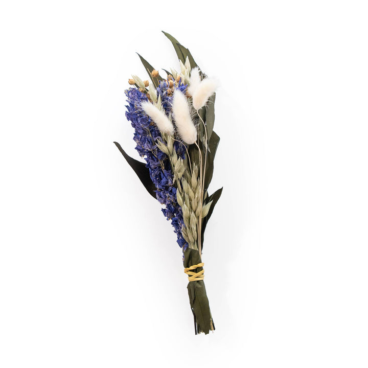 Purple Larkspur & Bunny Tail Mini Bouquet - Merry PigletsAndaluca