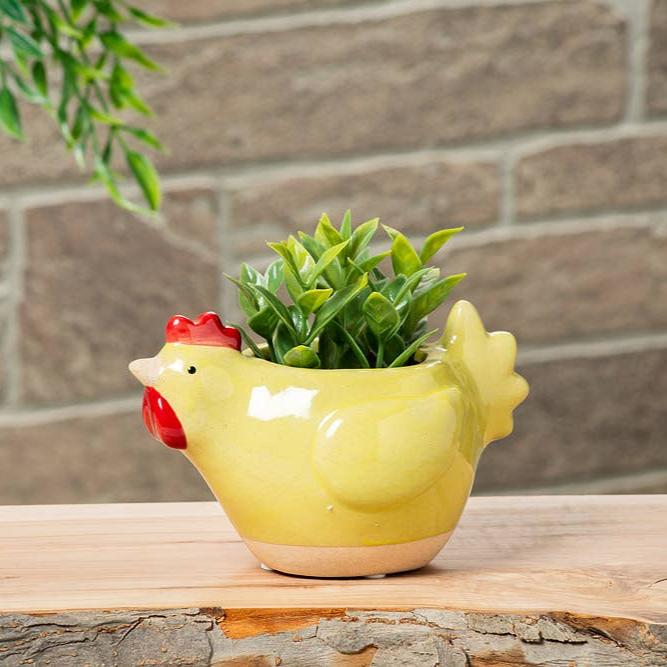 Small Chicken Planter - Merry PigletsAbbott