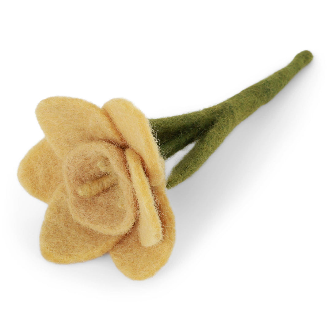 Small Yellow Wool Daffodil - Merry PigletsGry and Sif