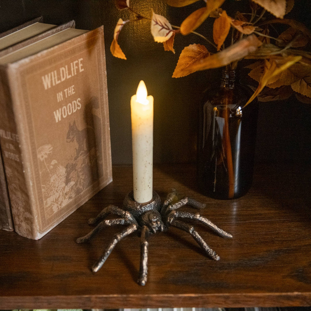 Tarantula Taper Candle Holder - Merry PigletsRagon House