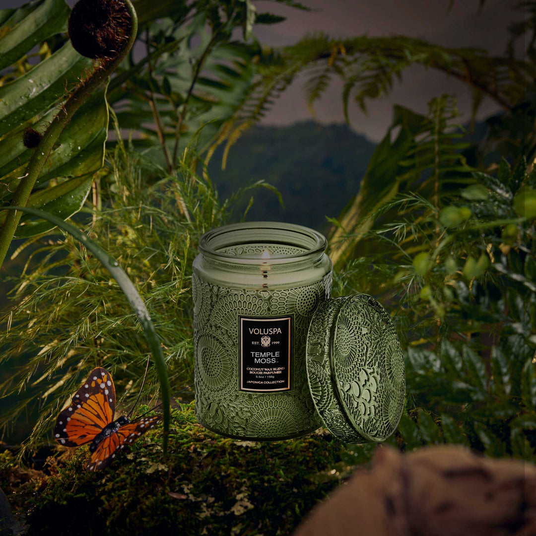 Temple Moss Small Jar Candle - Merry PigletsVoluspa