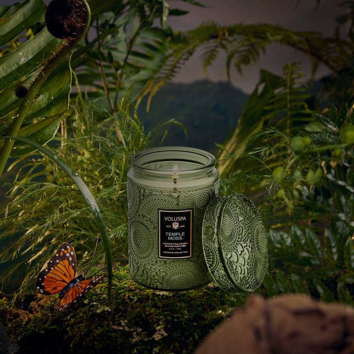 Temple Moss Small Jar Candle - Merry PigletsVoluspa