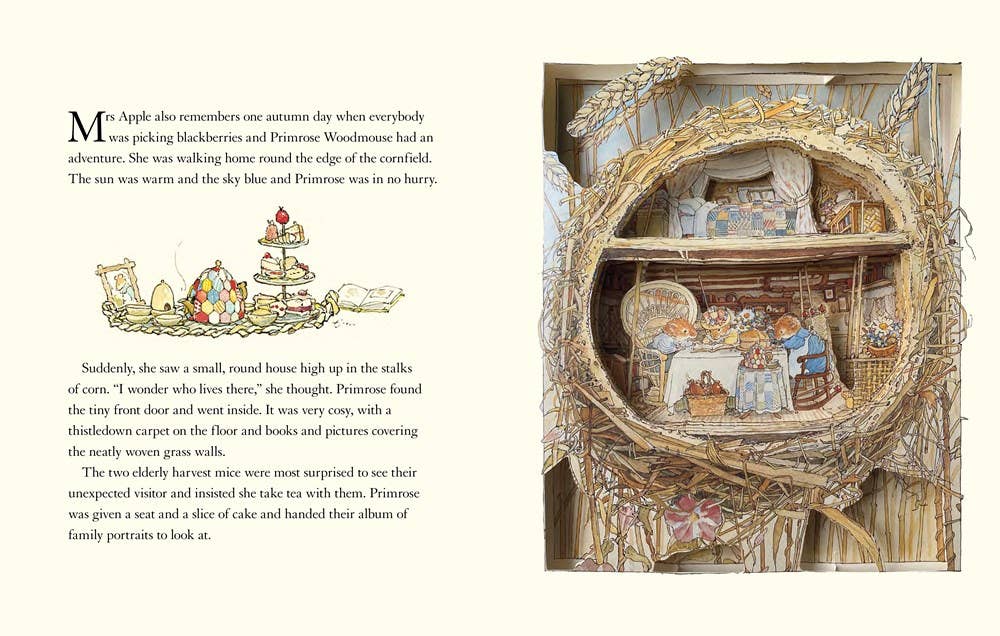 The Brambly Hedge Pop - Up Book - Merry PigletsHarperCollins