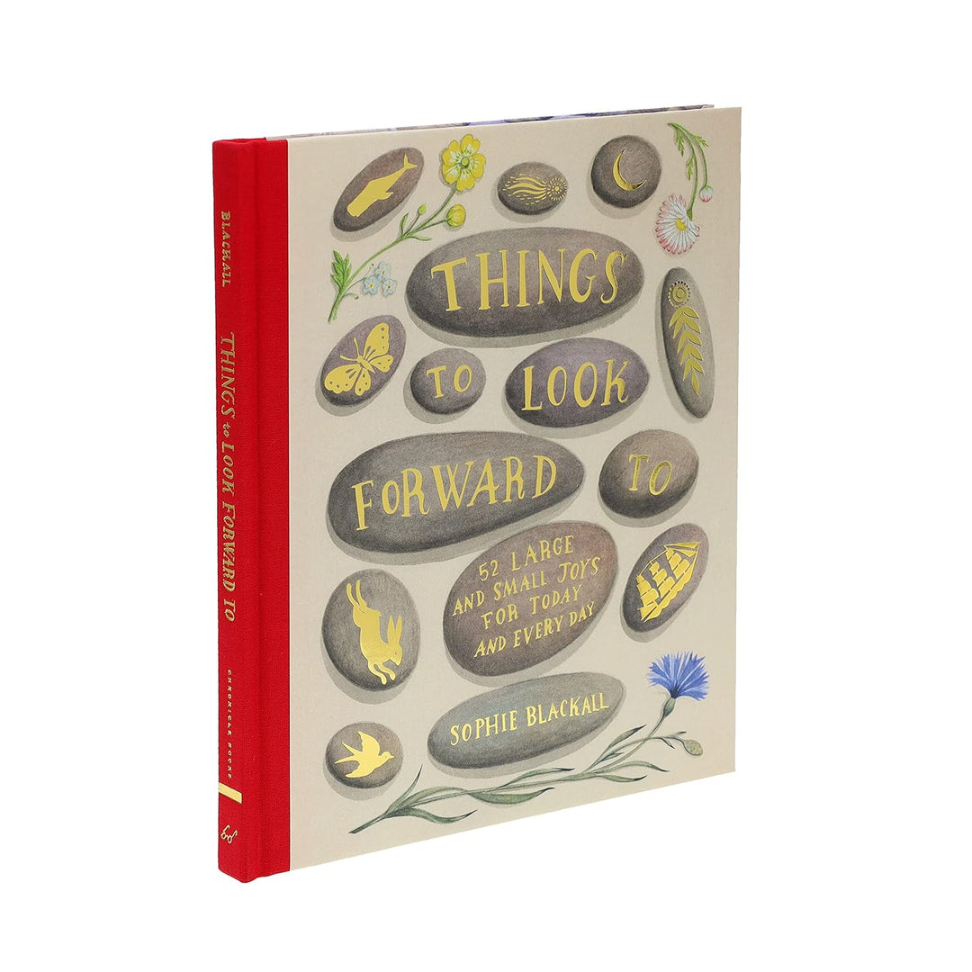 Things to Look Forward To: 52 Large and Small Joys for Today & Everyday - Merry PigletsChronicle Books