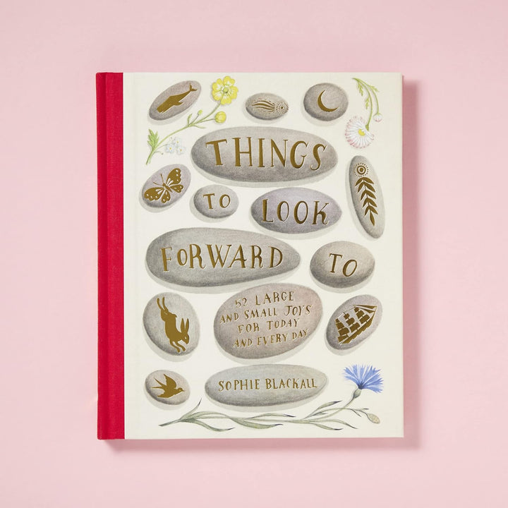 Things to Look Forward To: 52 Large and Small Joys for Today & Everyday - Merry PigletsChronicle Books