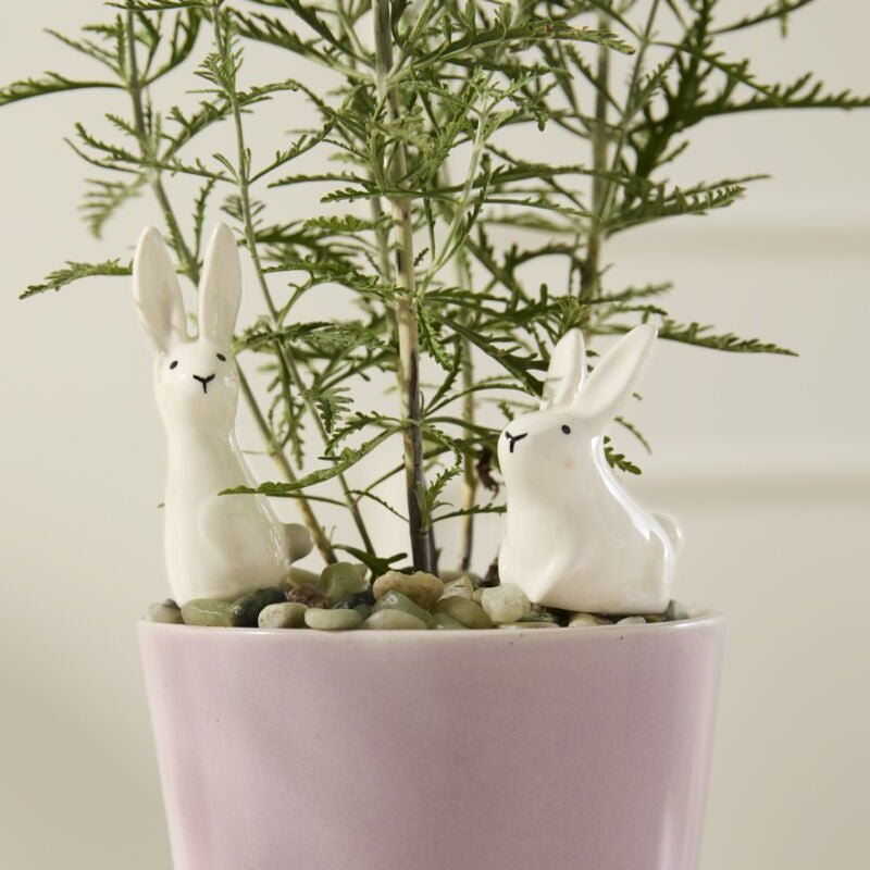 Thumper Plant Sticks Set - Merry Pigletsaccent decor