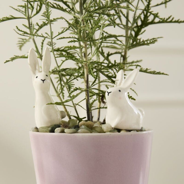 Thumper Plant Sticks Set - Merry Pigletsaccent decor