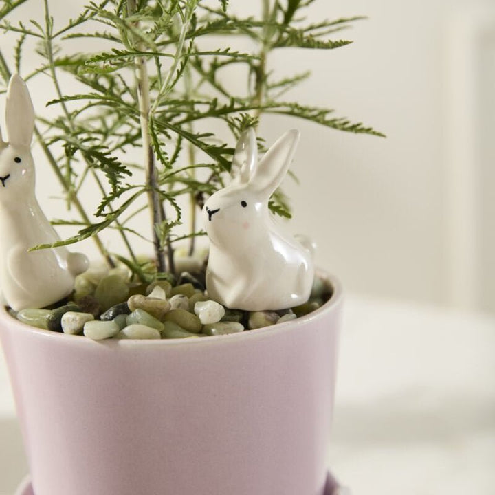 Thumper Plant Sticks Set - Merry Pigletsaccent decor