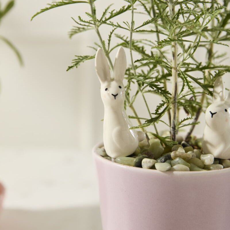 Thumper Plant Sticks Set - Merry Pigletsaccent decor