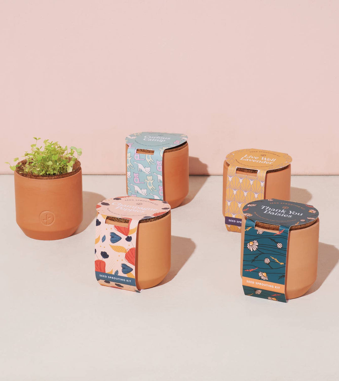 Tiny Terracotta - Thank You Daisies - Merry PigletsModern Sprout