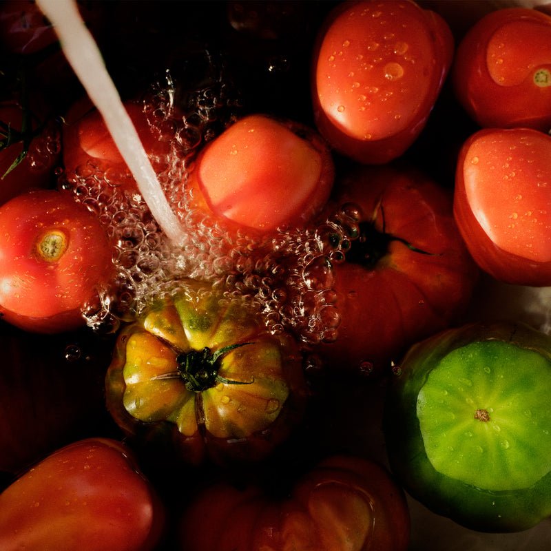 Tomato Trellis Small Jar Candle - Merry PigletsVoluspa