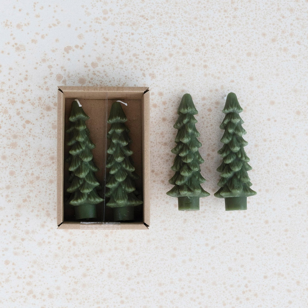 Tree Taper Candles - Evergreen - Merry PigletsCreative Co - Op