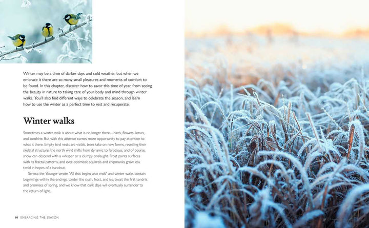 Winter Wellbeing Book - Merry PigletsSimon & Schuster