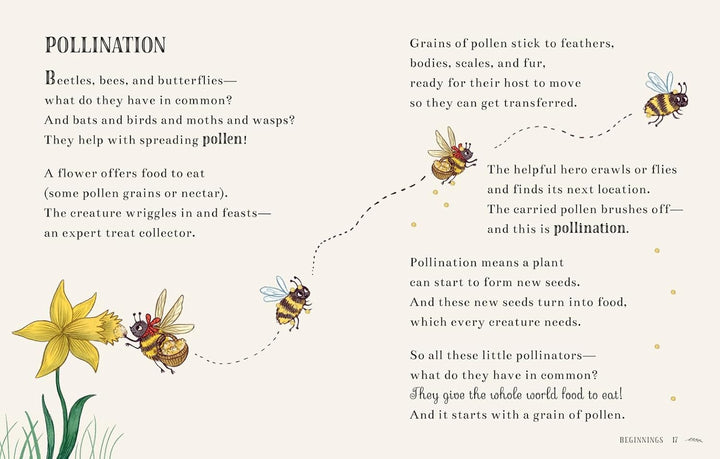 Wisdom of the Woods: 40 Nature Poems Passed Down from Bear to Bear - Merry PigletsAbrams Books