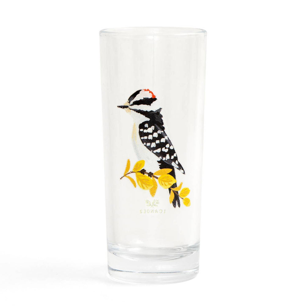 Woodpecker Juice Glass - Merry Piglets1canoe2 | One Canoe Two Paper Co.