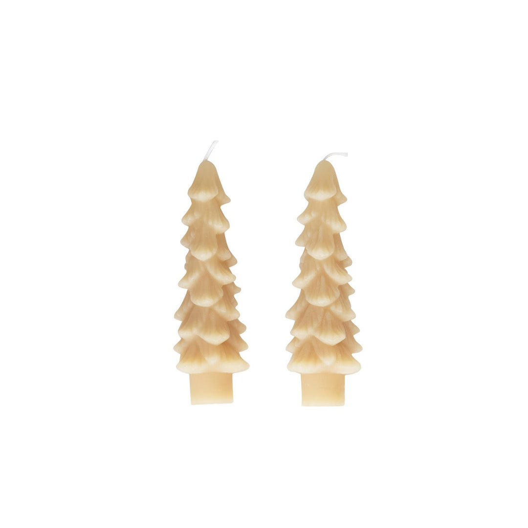 Tree Taper Candles - Eggnog