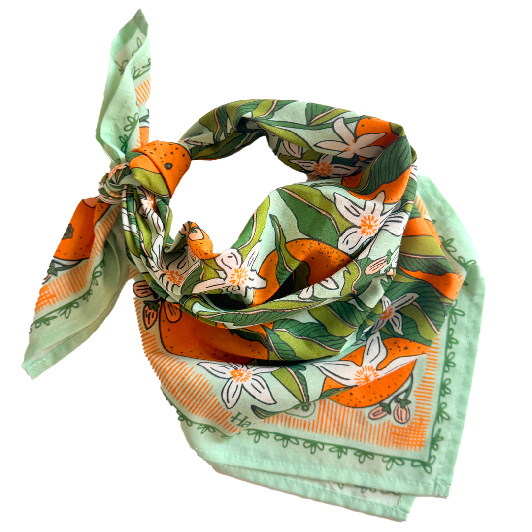 Zoe Bandana - Merry PigletsHandker Bandanas