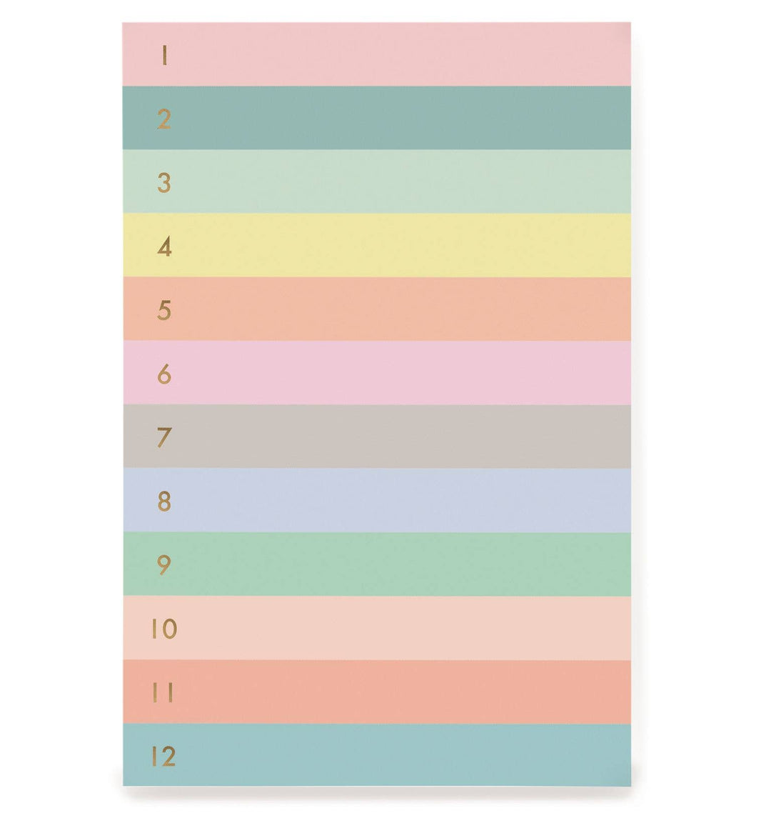 Numbered Color Block Notepad - Merry Piglets